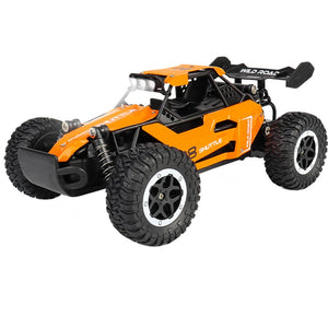 Off-Road Electric RC Car