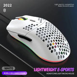 6400 DPI Ergonomic Wired RGB Gaming Mouse